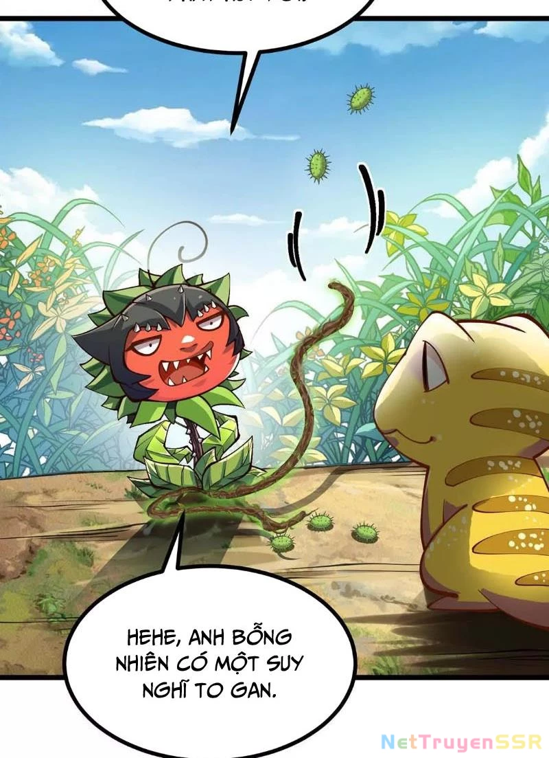 Thôn phệ đi, đại chùy hoa Chapter 4 - Trang 2