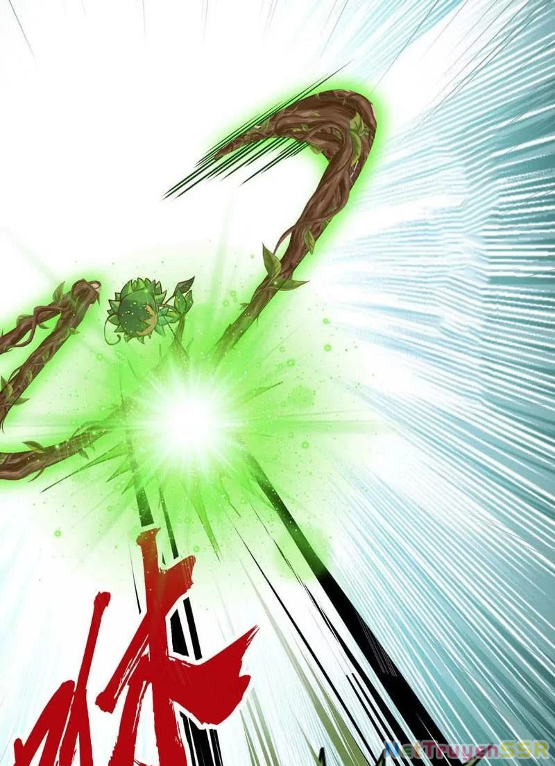 Thôn phệ đi, đại chùy hoa Chapter 4 - Trang 2