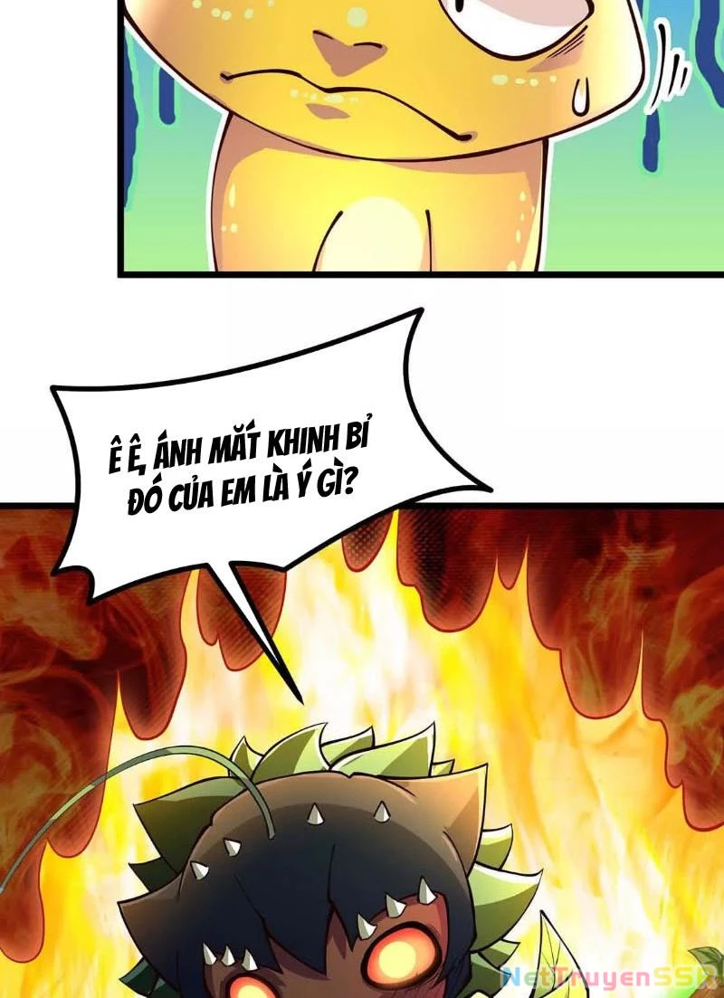 Thôn phệ đi, đại chùy hoa Chapter 4 - Trang 2