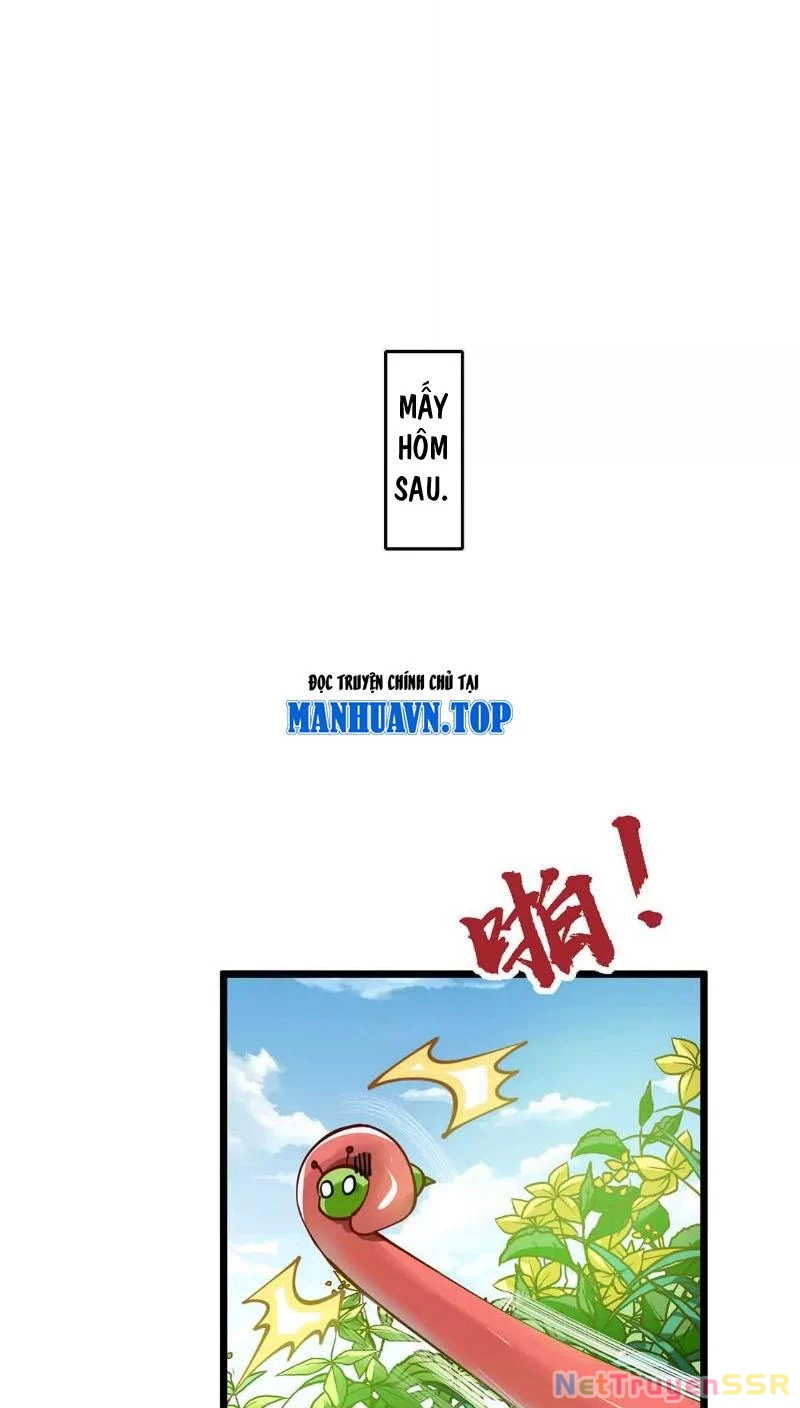 Thôn phệ đi, đại chùy hoa Chapter 4 - Trang 2