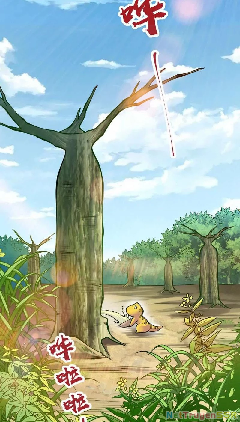 Thôn phệ đi, đại chùy hoa Chapter 4 - Trang 2