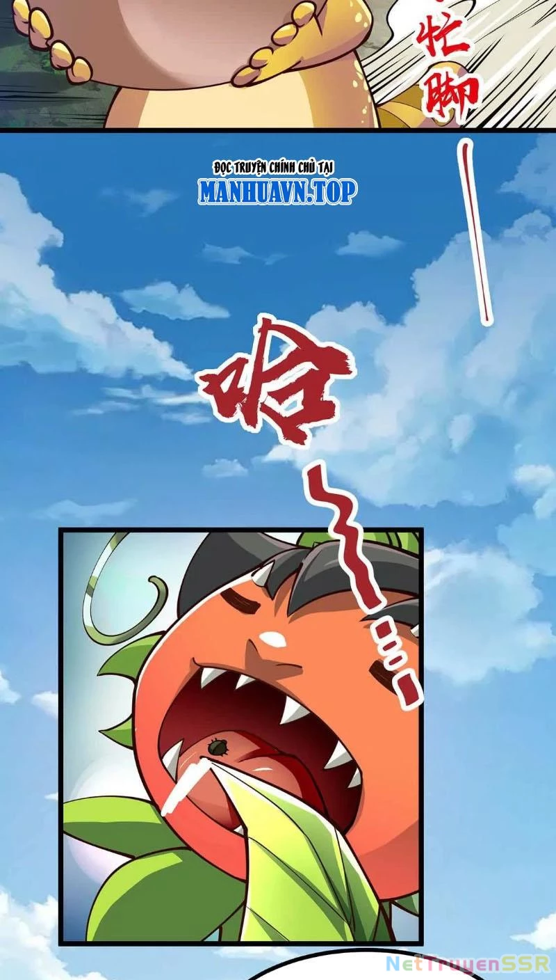 Thôn phệ đi, đại chùy hoa Chapter 4 - Trang 2