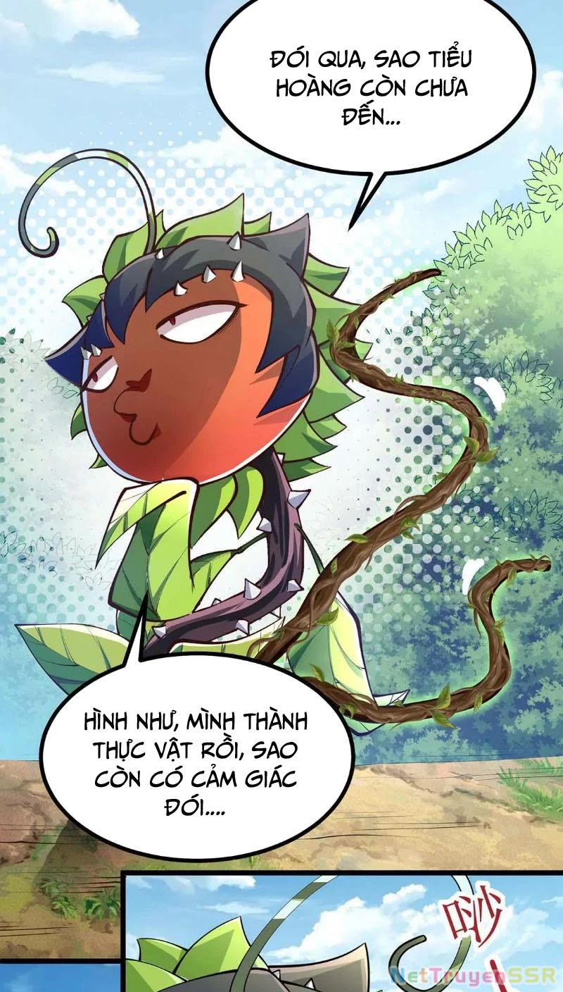 Thôn phệ đi, đại chùy hoa Chapter 4 - Trang 2