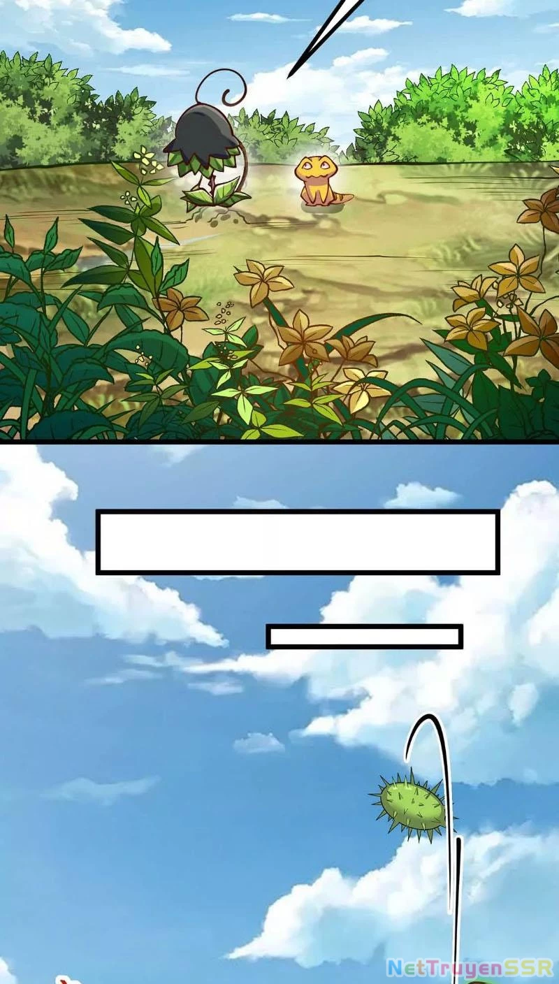 Thôn phệ đi, đại chùy hoa Chapter 4 - Trang 2