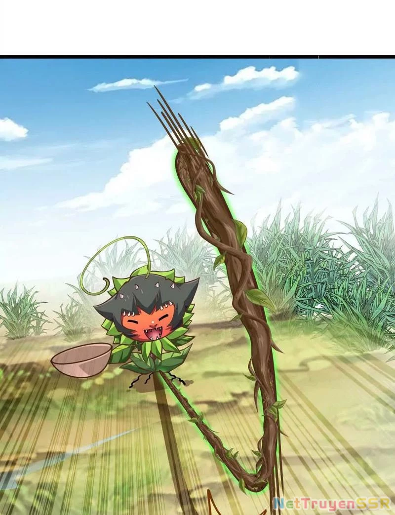 Thôn phệ đi, đại chùy hoa Chapter 4 - Trang 2