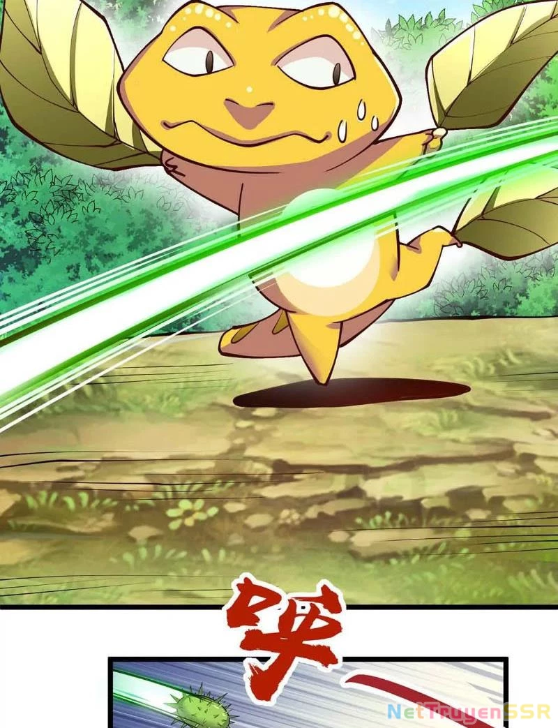 Thôn phệ đi, đại chùy hoa Chapter 4 - Trang 2