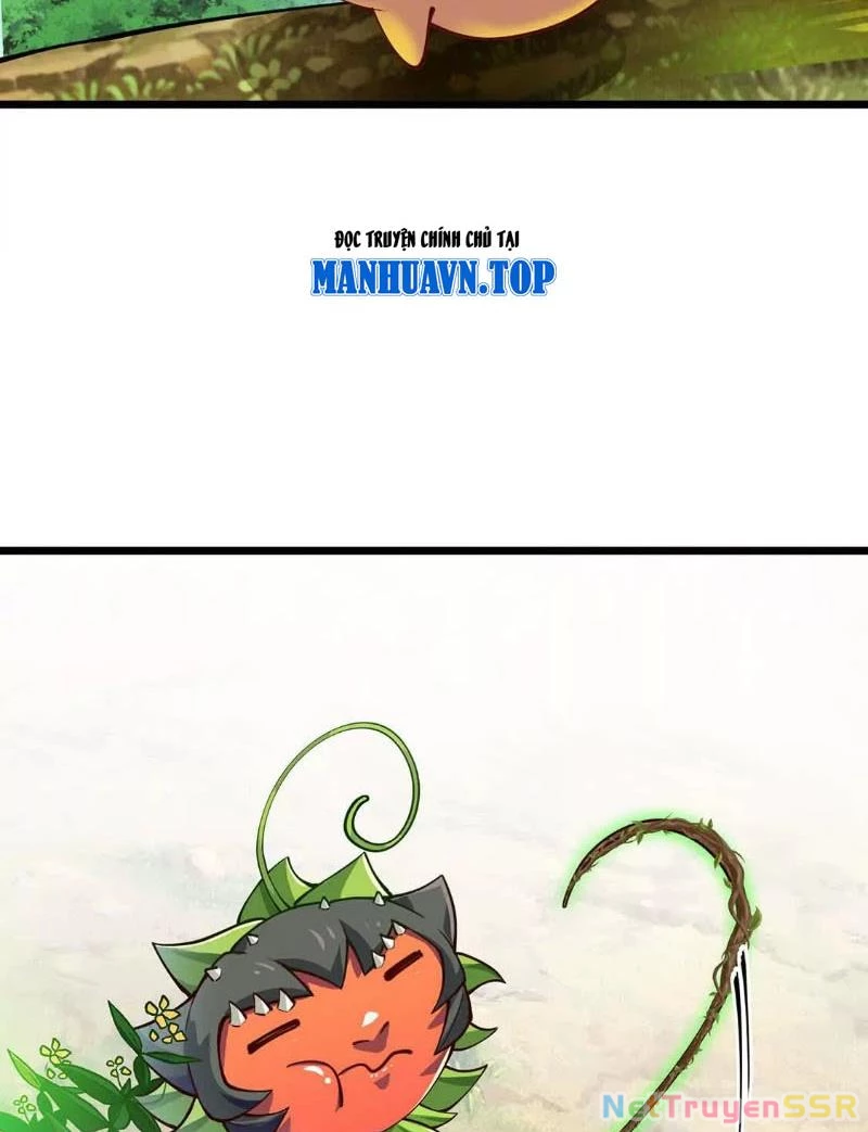 Thôn phệ đi, đại chùy hoa Chapter 4 - Trang 2