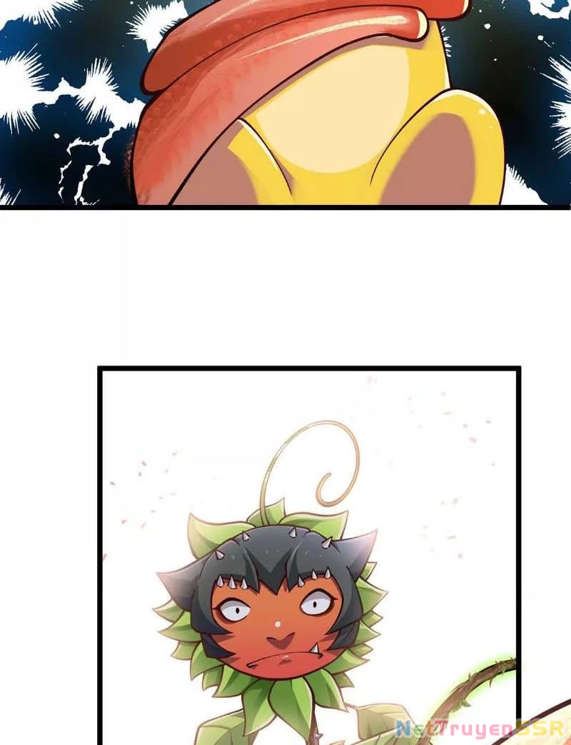 Thôn phệ đi, đại chùy hoa Chapter 4 - Trang 2