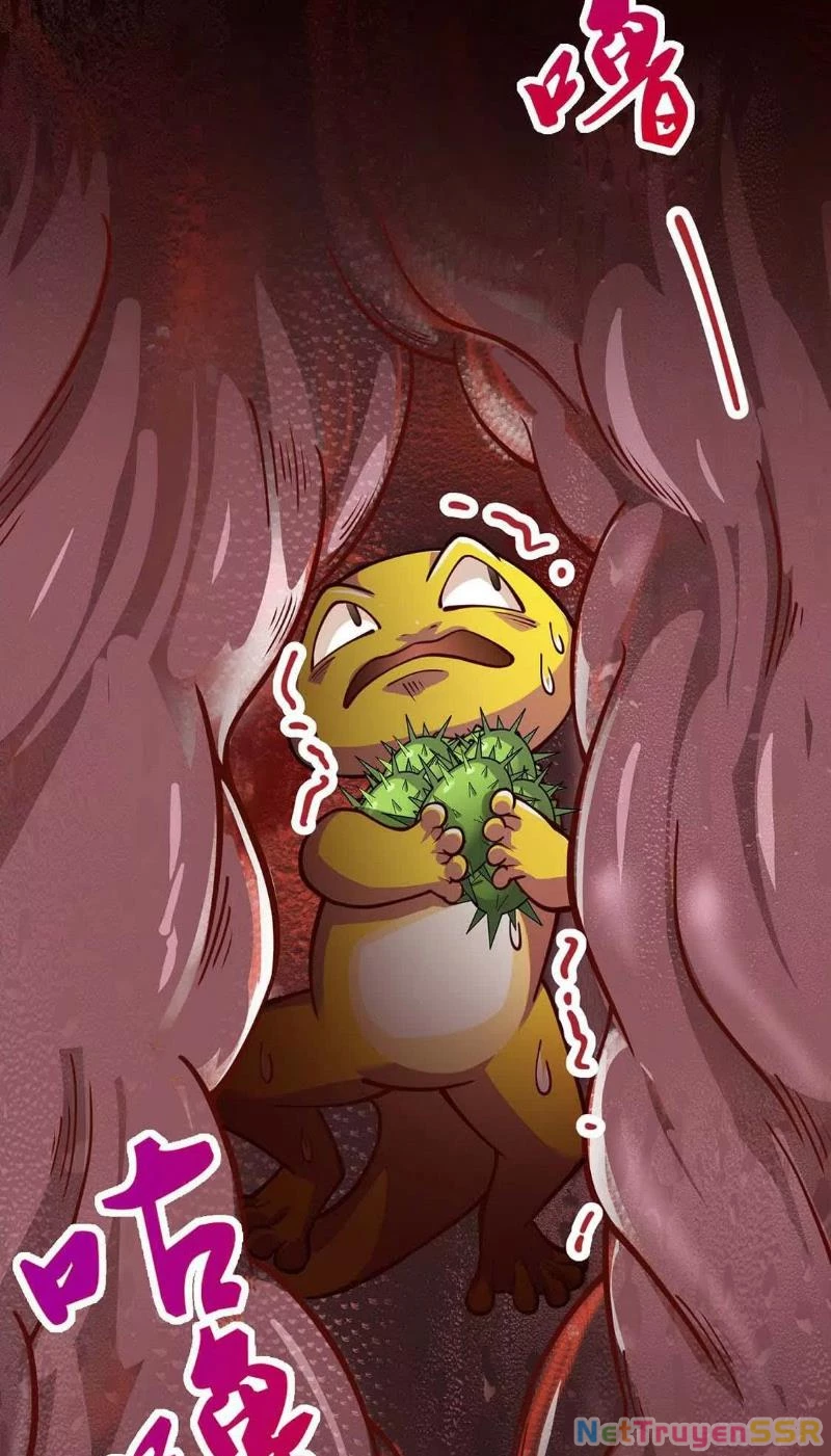 Thôn phệ đi, đại chùy hoa Chapter 5 - Trang 2