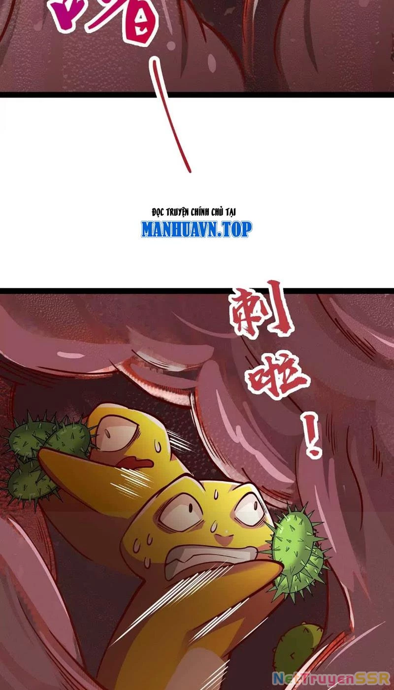 Thôn phệ đi, đại chùy hoa Chapter 5 - Trang 2