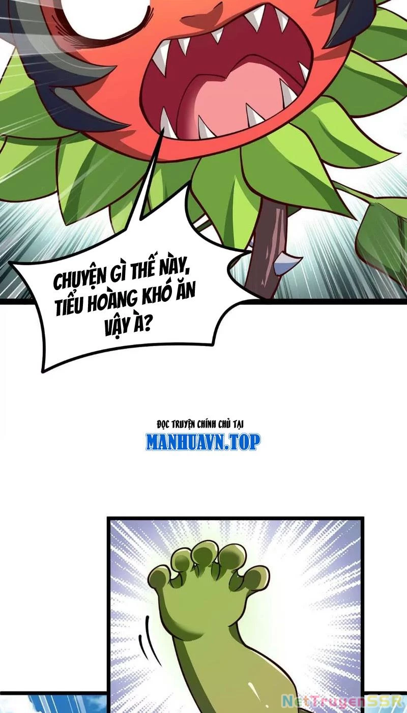 Thôn phệ đi, đại chùy hoa Chapter 5 - Trang 2