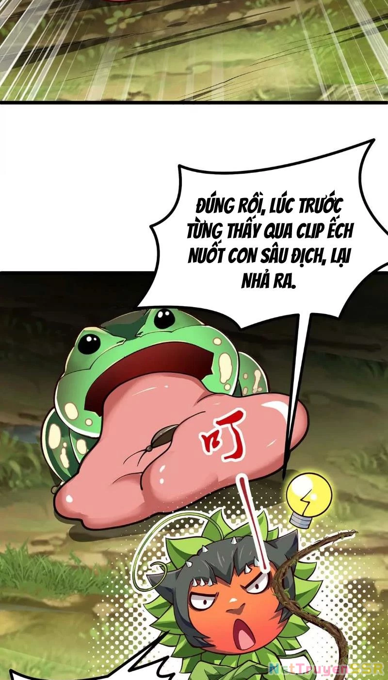 Thôn phệ đi, đại chùy hoa Chapter 5 - Trang 2