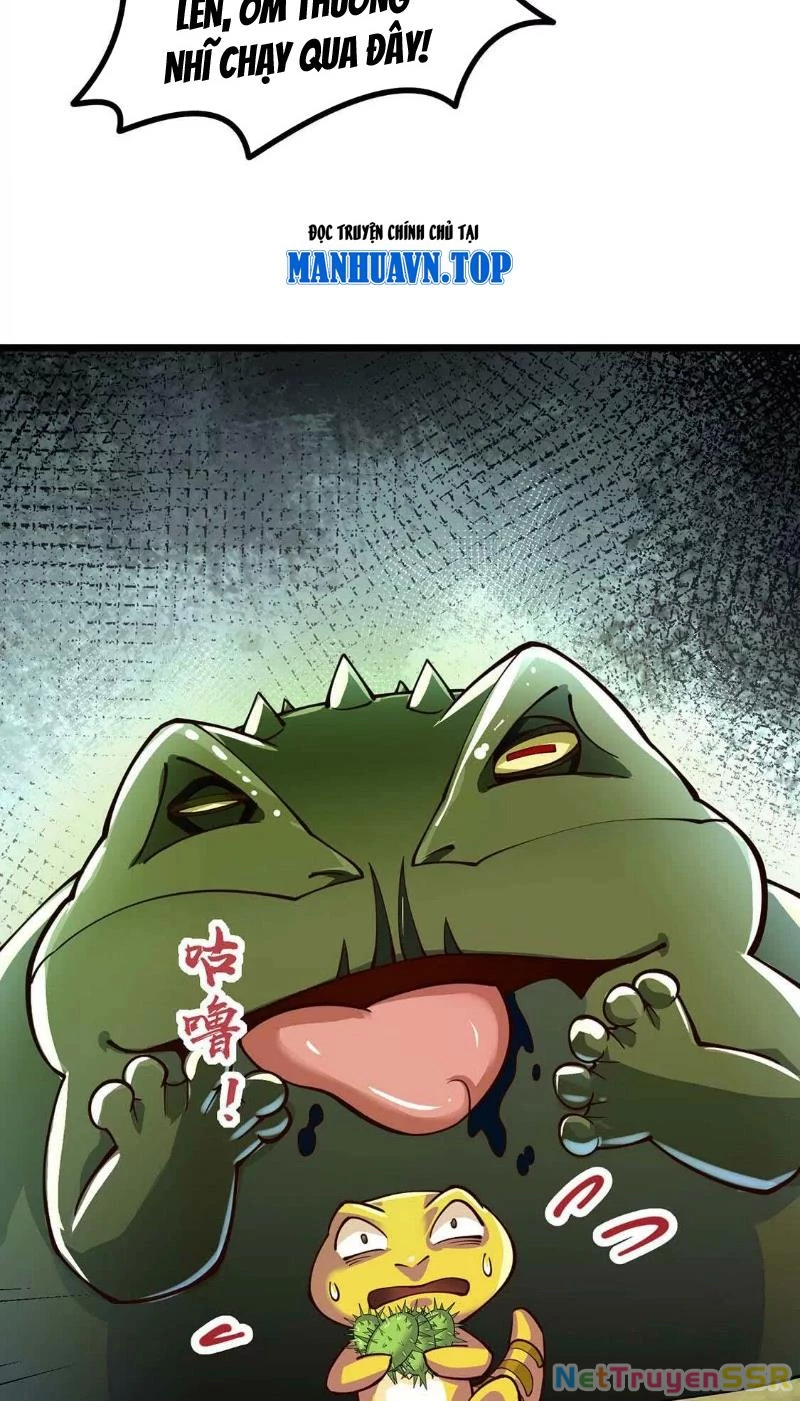 Thôn phệ đi, đại chùy hoa Chapter 5 - Trang 2