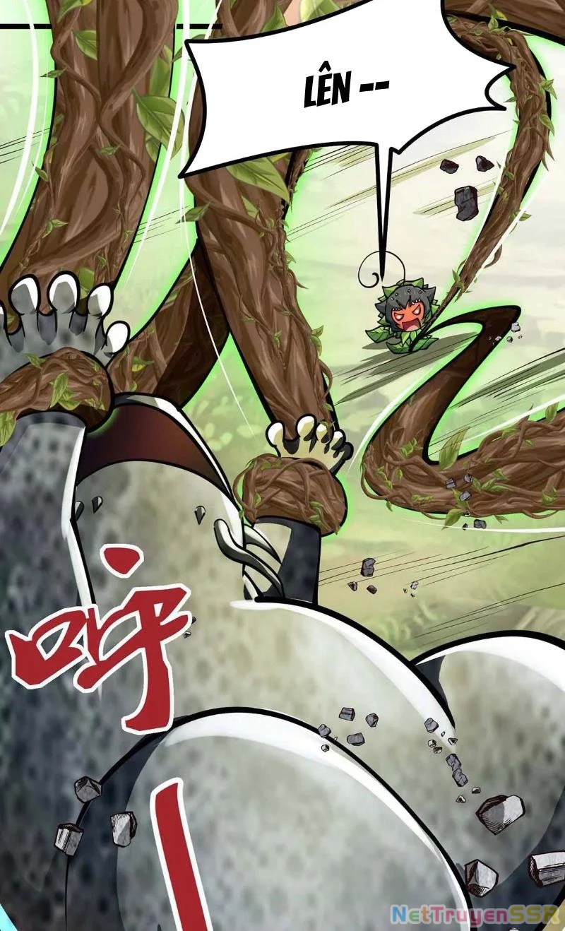 Thôn phệ đi, đại chùy hoa Chapter 5 - Trang 2