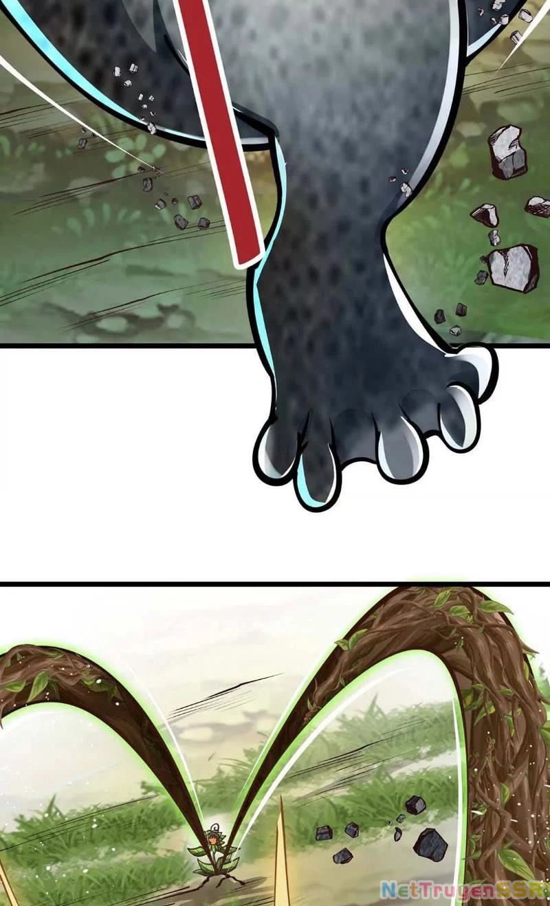 Thôn phệ đi, đại chùy hoa Chapter 5 - Trang 2