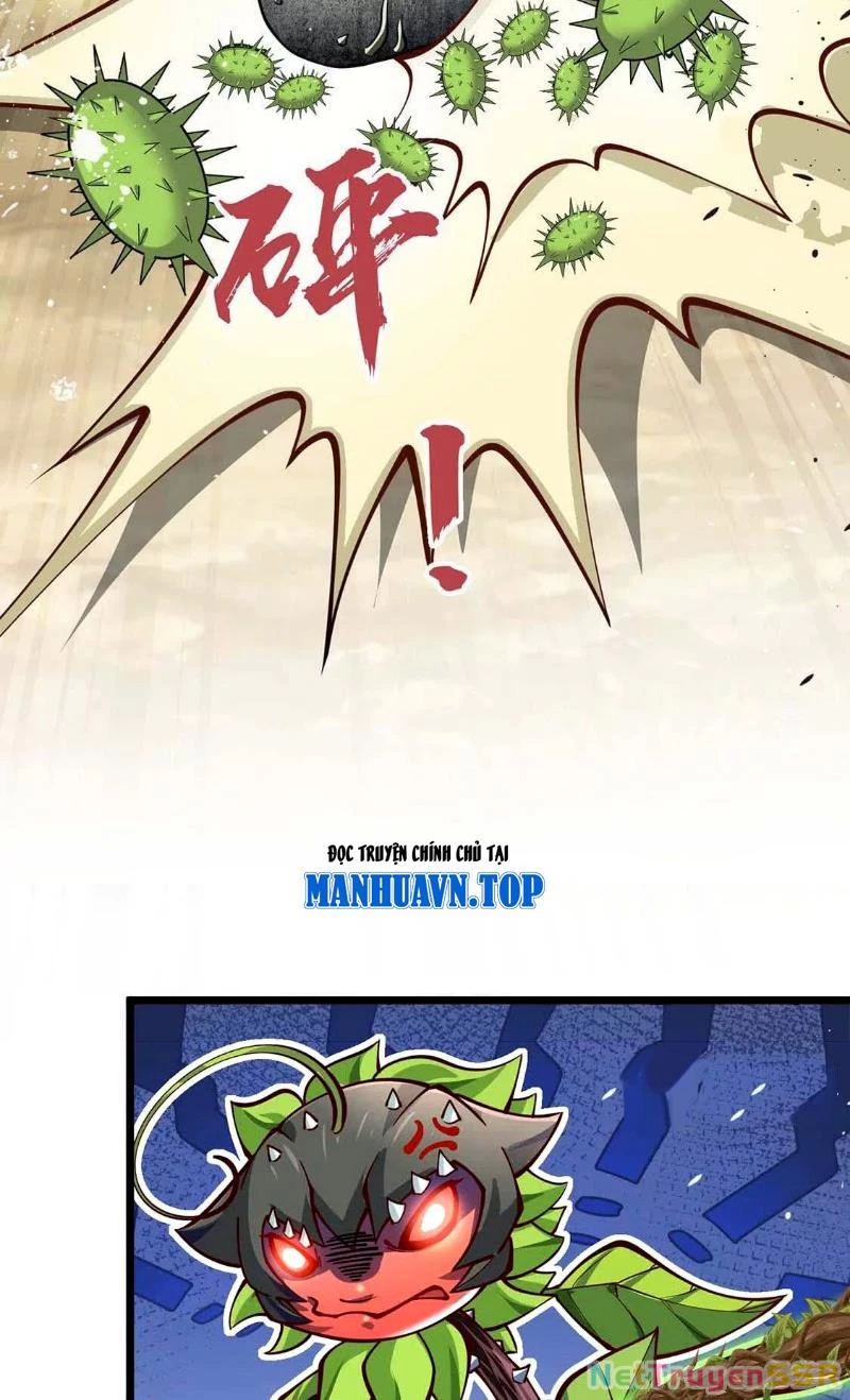 Thôn phệ đi, đại chùy hoa Chapter 5 - Trang 2