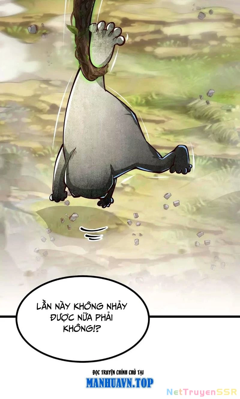 Thôn phệ đi, đại chùy hoa Chapter 5 - Trang 2