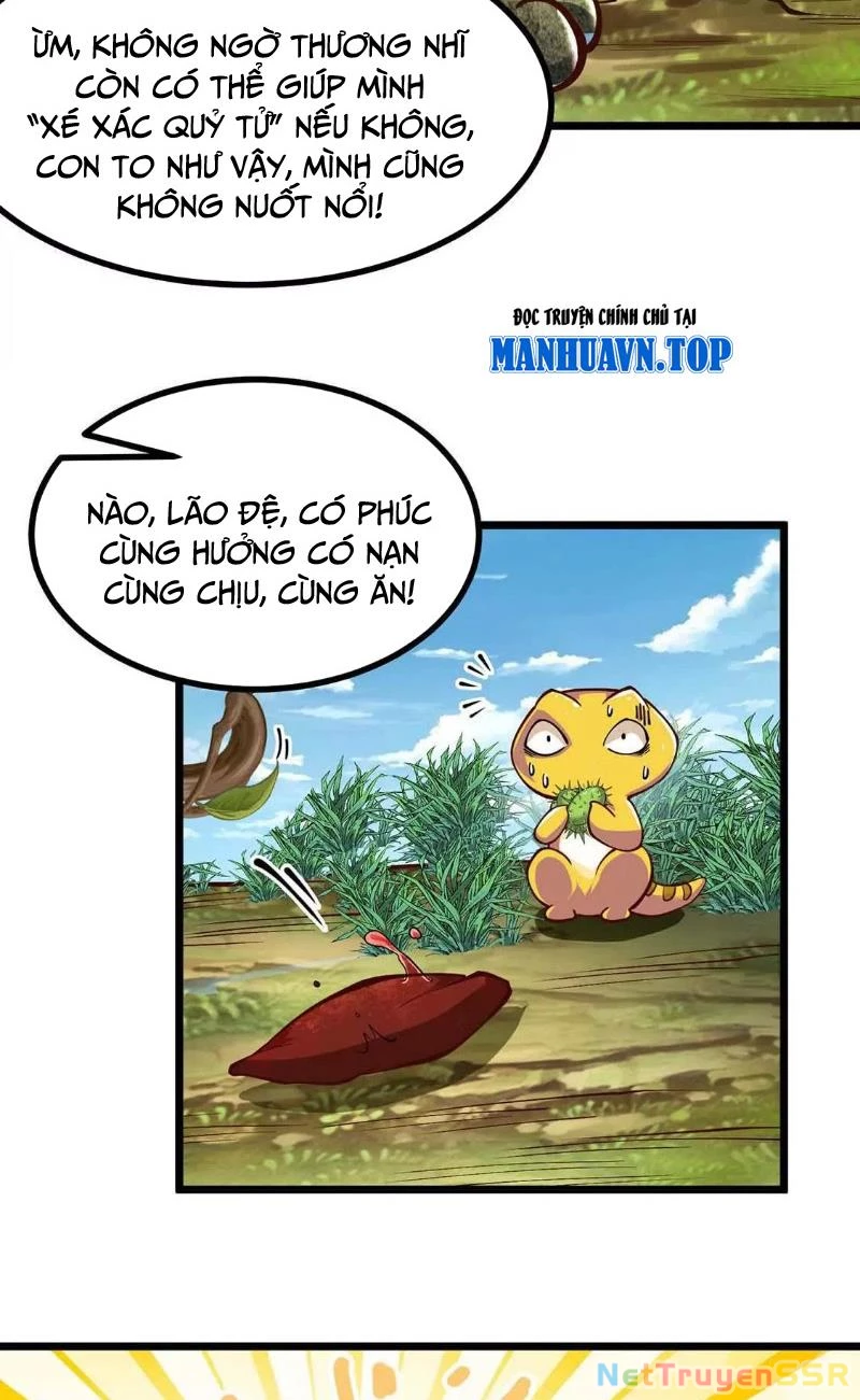 Thôn phệ đi, đại chùy hoa Chapter 5 - Trang 2