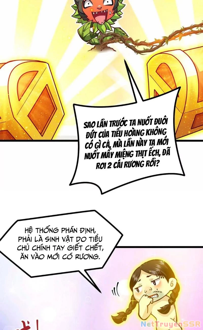 Thôn phệ đi, đại chùy hoa Chapter 5 - Trang 2