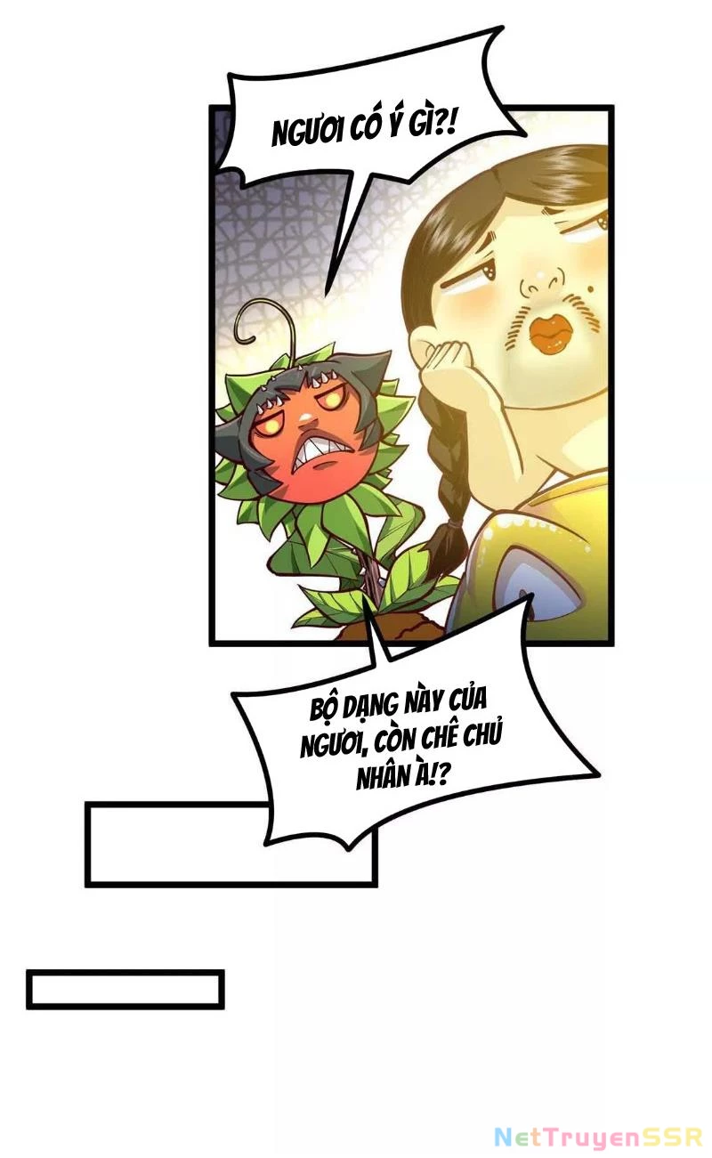 Thôn phệ đi, đại chùy hoa Chapter 5 - Trang 2