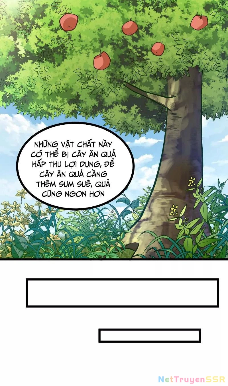 Thôn phệ đi, đại chùy hoa Chapter 6 - Trang 2