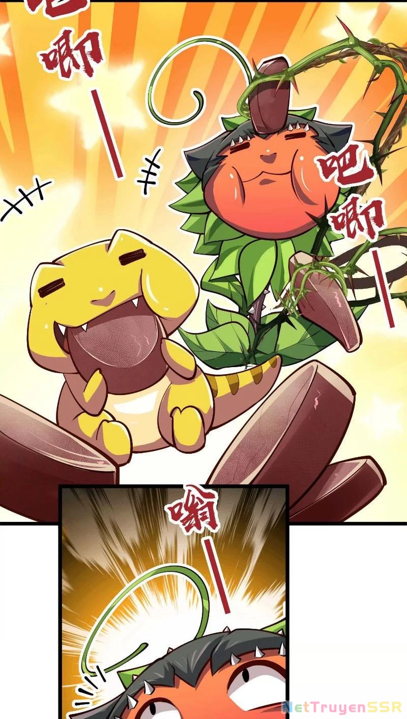 Thôn phệ đi, đại chùy hoa Chapter 6 - Trang 2