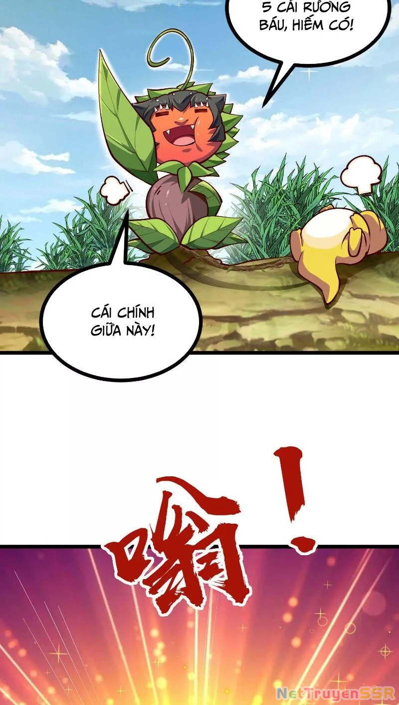 Thôn phệ đi, đại chùy hoa Chapter 6 - Trang 2