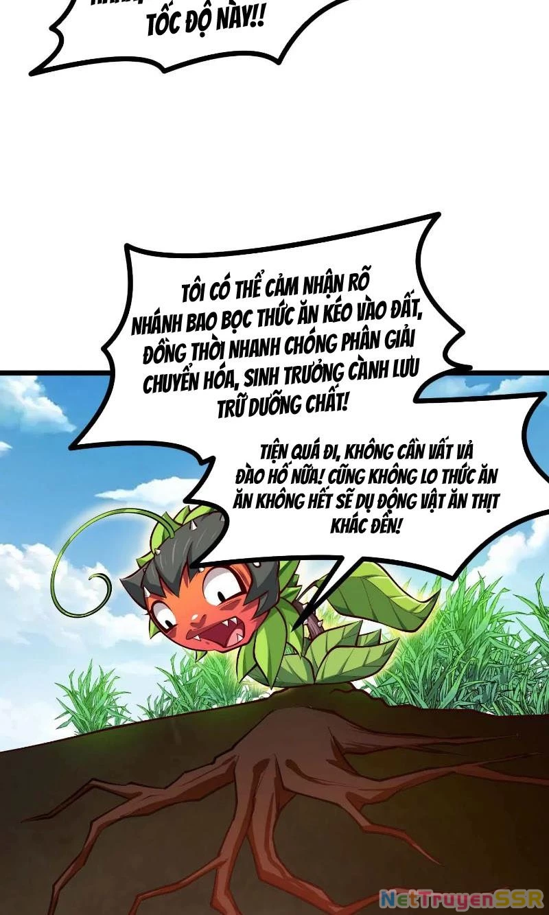 Thôn phệ đi, đại chùy hoa Chapter 7 - Trang 2