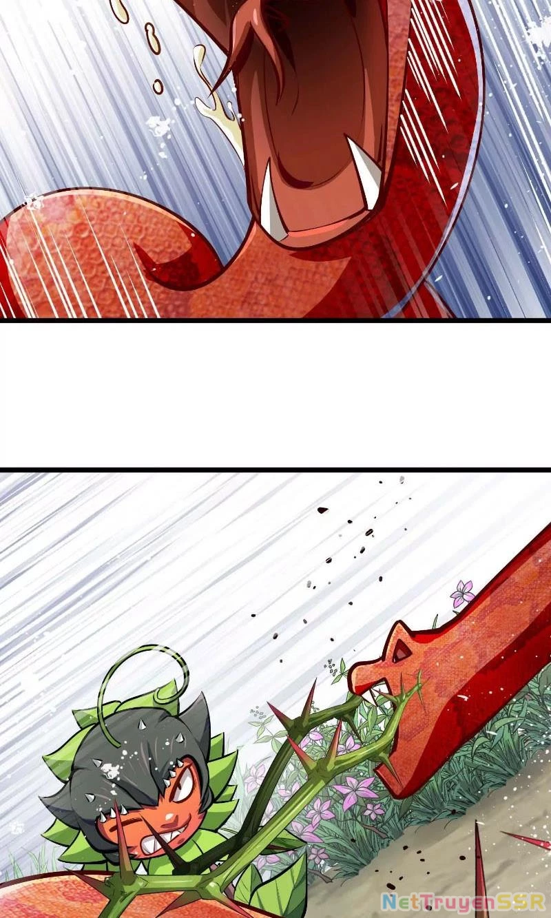 Thôn phệ đi, đại chùy hoa Chapter 7 - Trang 2