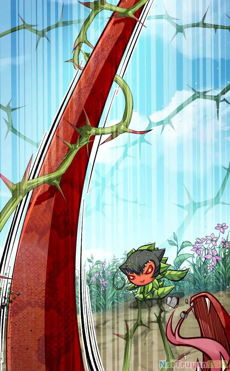 Thôn phệ đi, đại chùy hoa Chapter 7 - Trang 2