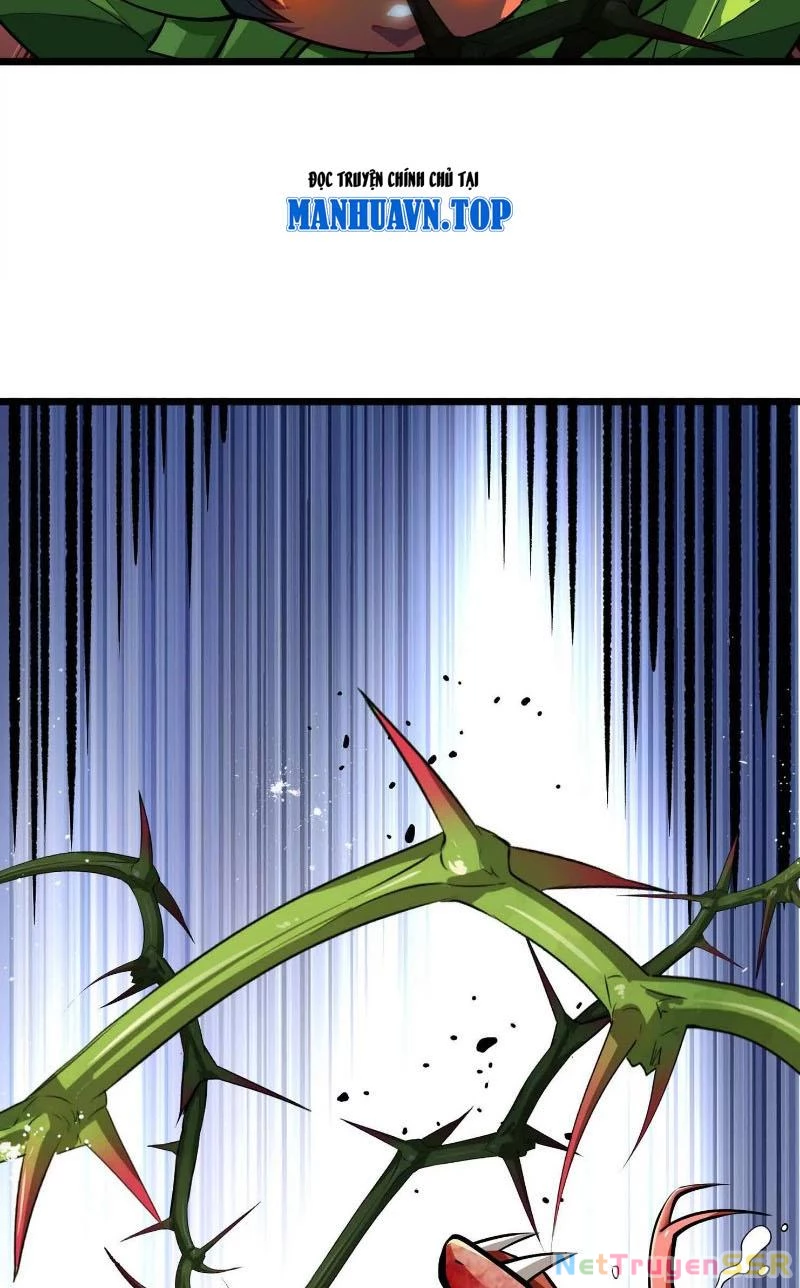 Thôn phệ đi, đại chùy hoa Chapter 7 - Trang 2