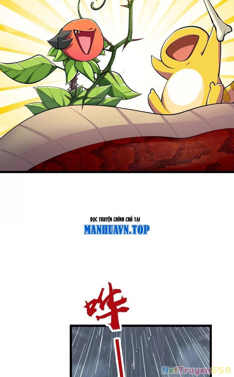 Thôn phệ đi, đại chùy hoa Chapter 7 - Trang 2