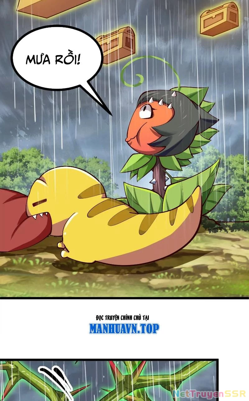 Thôn phệ đi, đại chùy hoa Chapter 7 - Trang 2