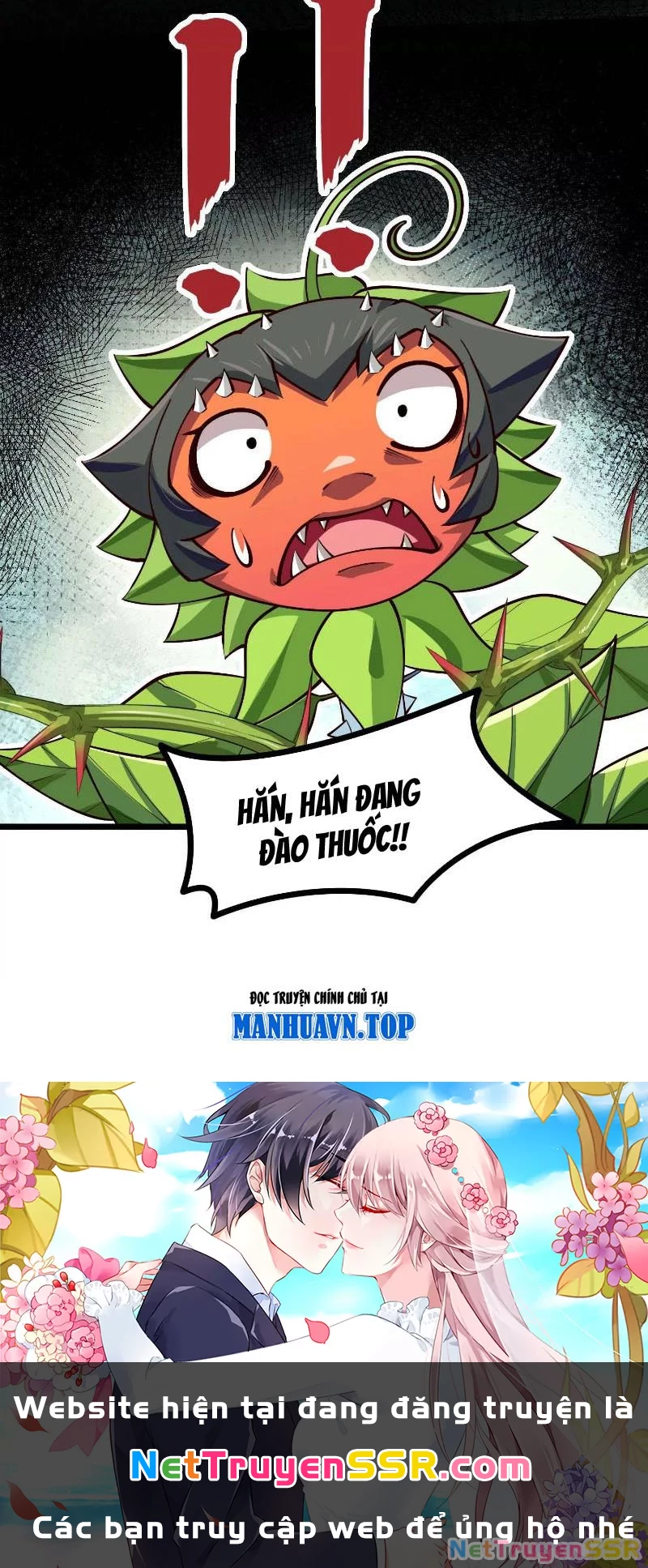 Thôn phệ đi, đại chùy hoa Chapter 7 - Trang 2