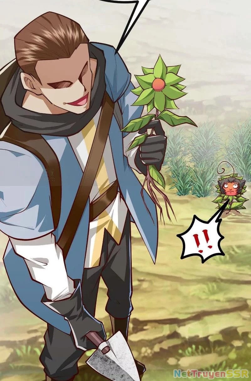 Thôn phệ đi, đại chùy hoa Chapter 8 - Trang 2