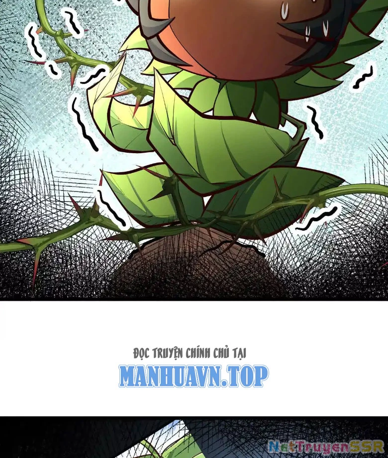 Thôn phệ đi, đại chùy hoa Chapter 9 - Trang 2