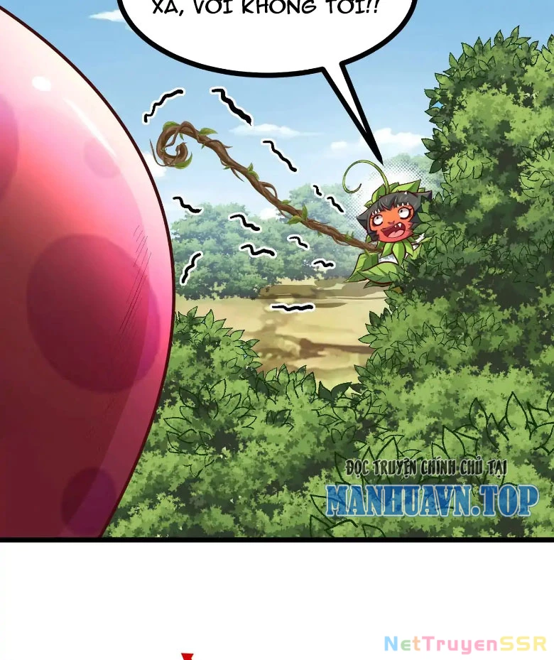 Thôn phệ đi, đại chùy hoa Chapter 9 - Trang 2