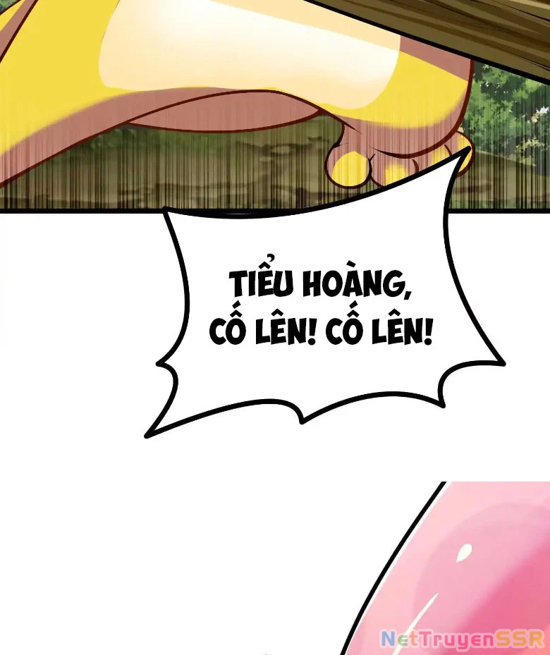 Thôn phệ đi, đại chùy hoa Chapter 9 - Trang 2