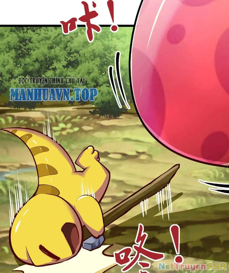 Thôn phệ đi, đại chùy hoa Chapter 9 - Trang 2