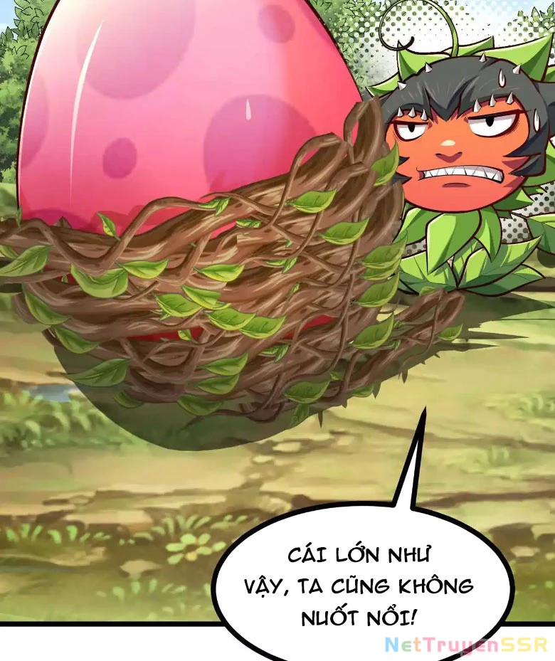 Thôn phệ đi, đại chùy hoa Chapter 9 - Trang 2