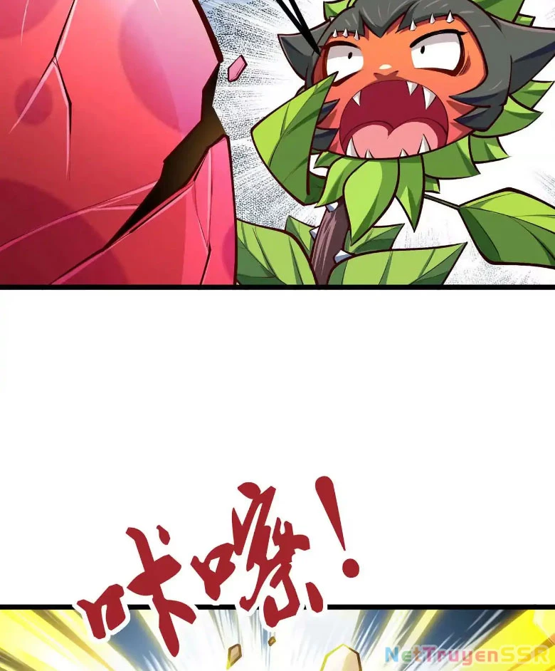 Thôn phệ đi, đại chùy hoa Chapter 9 - Trang 2