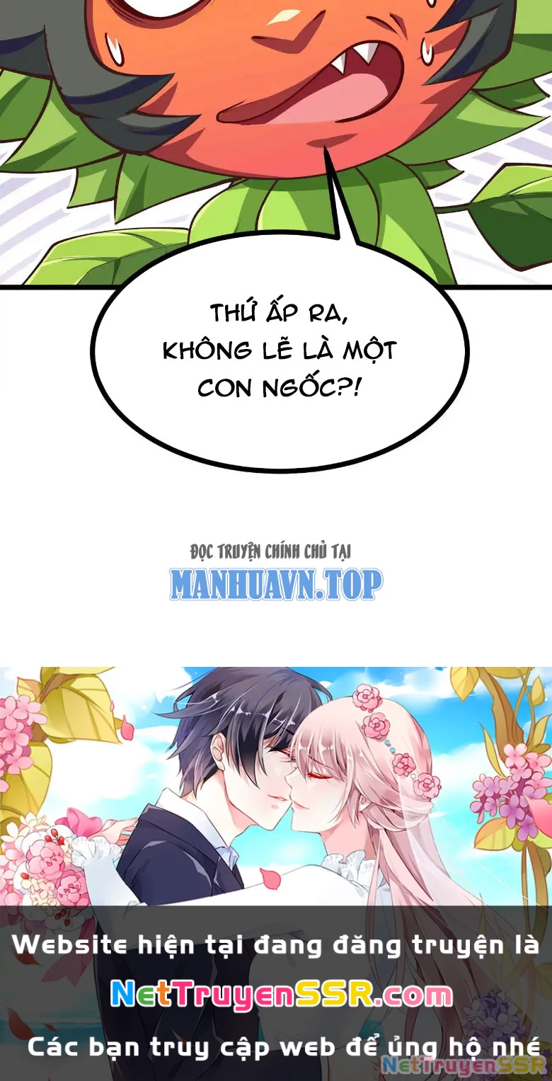 Thôn phệ đi, đại chùy hoa Chapter 9 - Trang 2