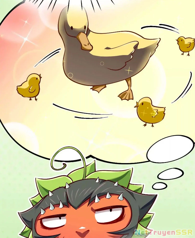 Thôn phệ đi, đại chùy hoa Chapter 10 - Trang 2