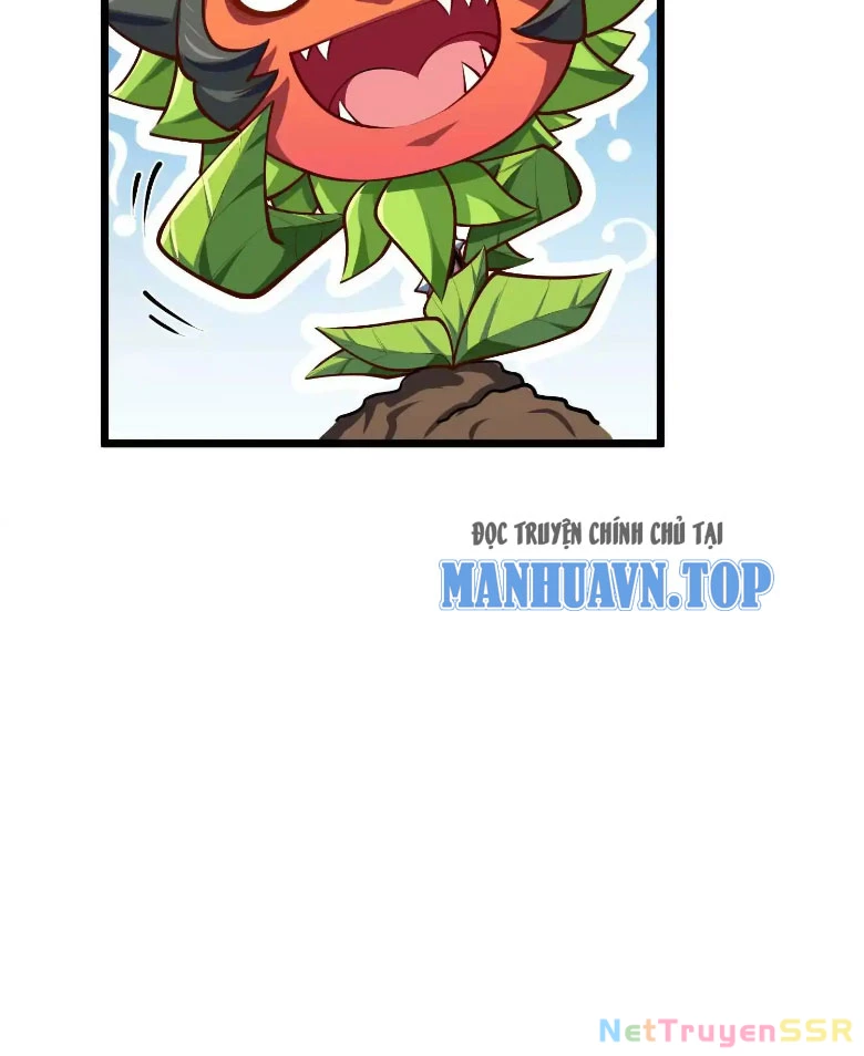 Thôn phệ đi, đại chùy hoa Chapter 10 - Trang 2