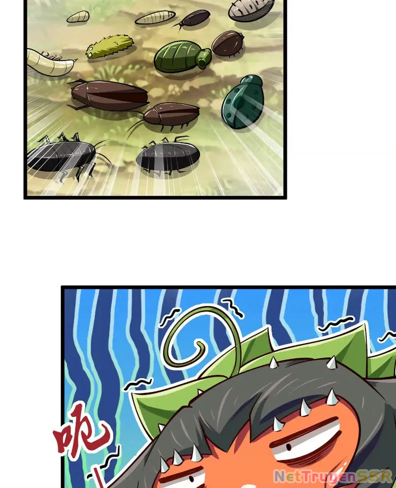 Thôn phệ đi, đại chùy hoa Chapter 10 - Trang 2