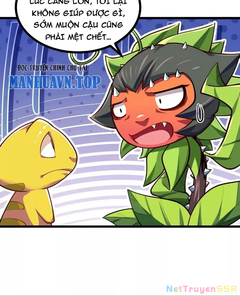 Thôn phệ đi, đại chùy hoa Chapter 10 - Trang 2