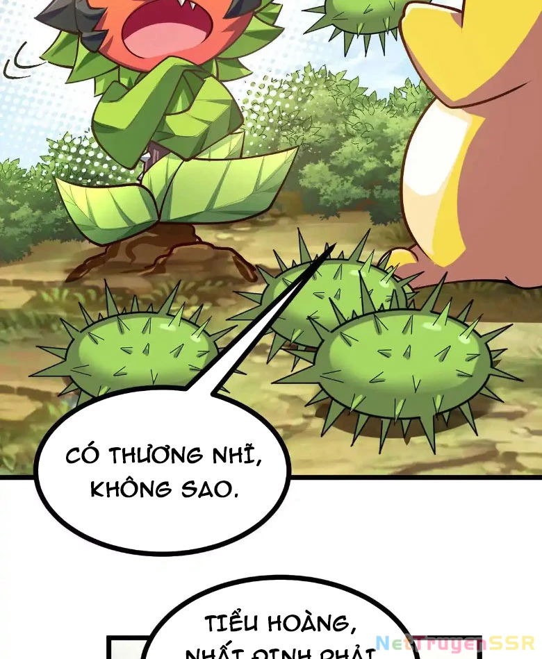 Thôn phệ đi, đại chùy hoa Chapter 10 - Trang 2