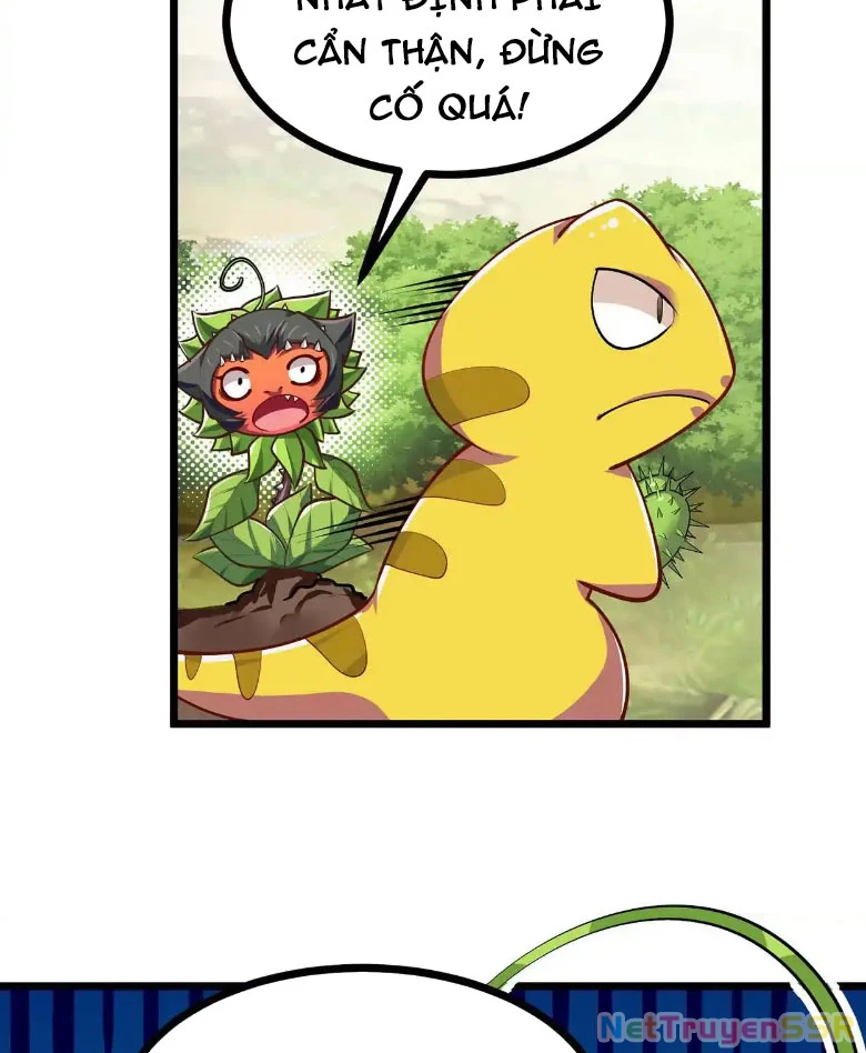 Thôn phệ đi, đại chùy hoa Chapter 10 - Trang 2