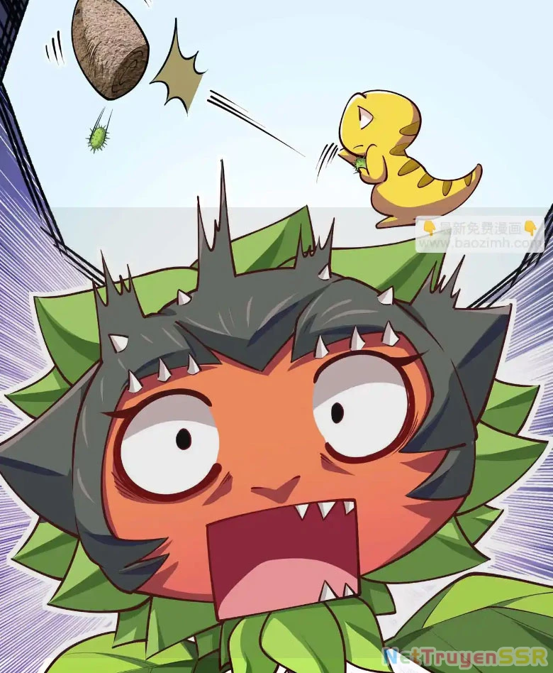 Thôn phệ đi, đại chùy hoa Chapter 10 - Trang 2