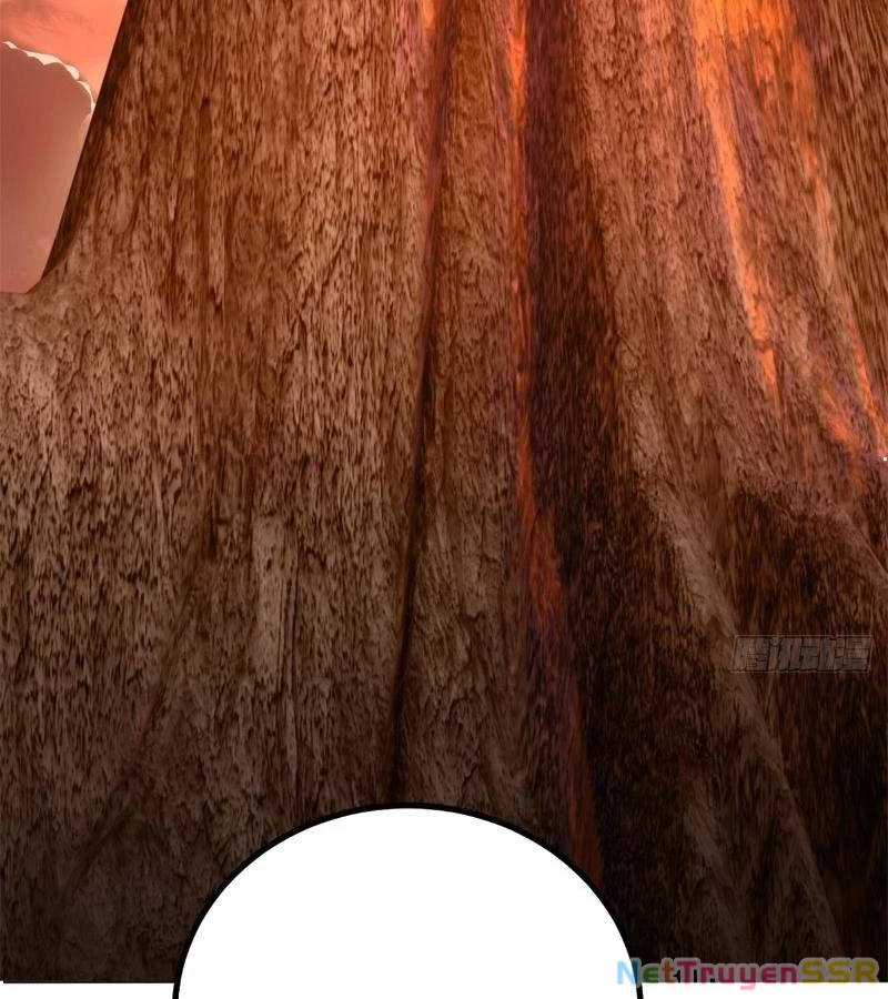 Người Ở Rể Bị Ép Thành Phản Diện Chapter 539 - Trang 4